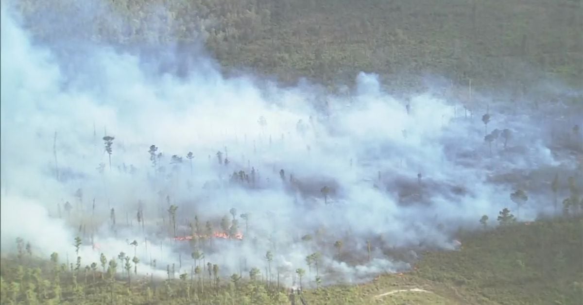 Update 90 of brush fire near - IMTZRXJ5J5DQXEX2JQZUGLECH4 