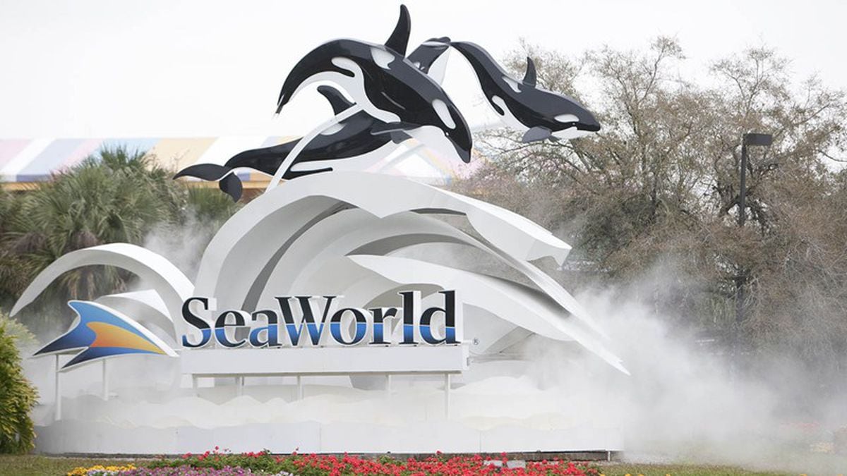 Seaworld Busch Gardens Free Admission Available For Veterans Now