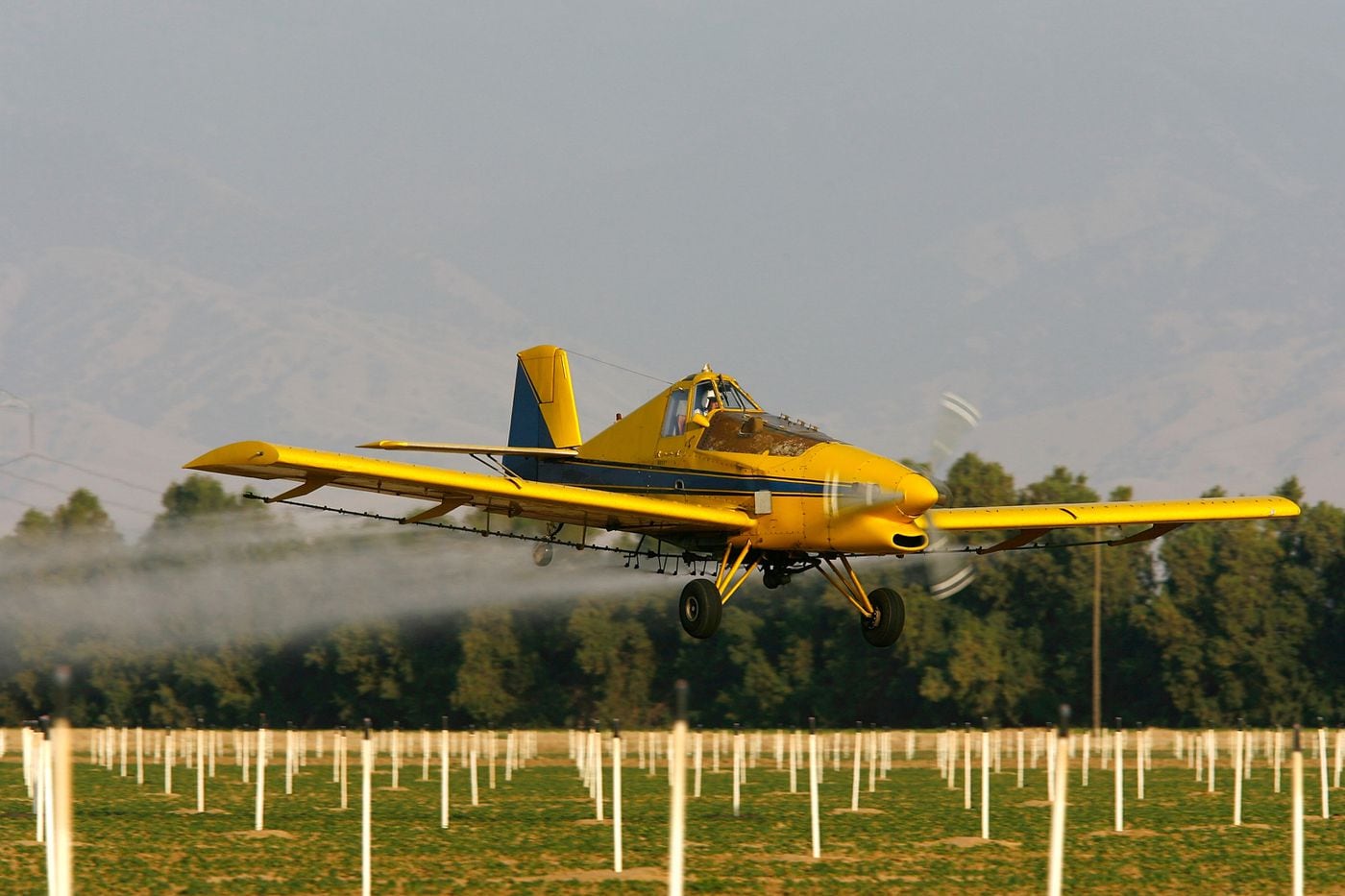 Crop duster used to spray Louisiana town with holy water